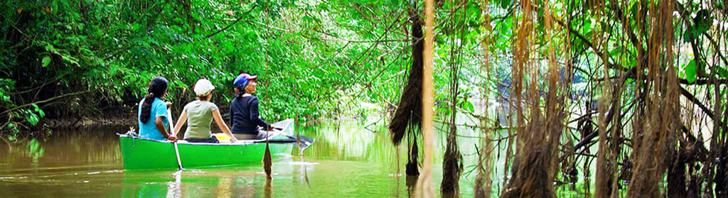 Iquitos Jungle