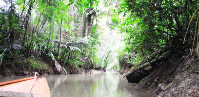 Gamitana River Canal Exploration