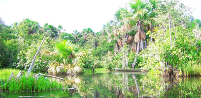 Lost Lake Near Ecoamazonia Lodge