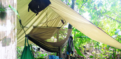 Bug Hammock Jungle Camp