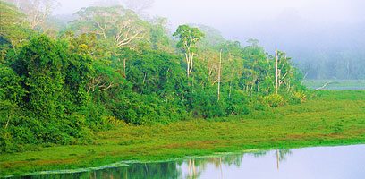 Lake Otorongo Panoramic