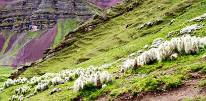 Rainbow Mountain Trek